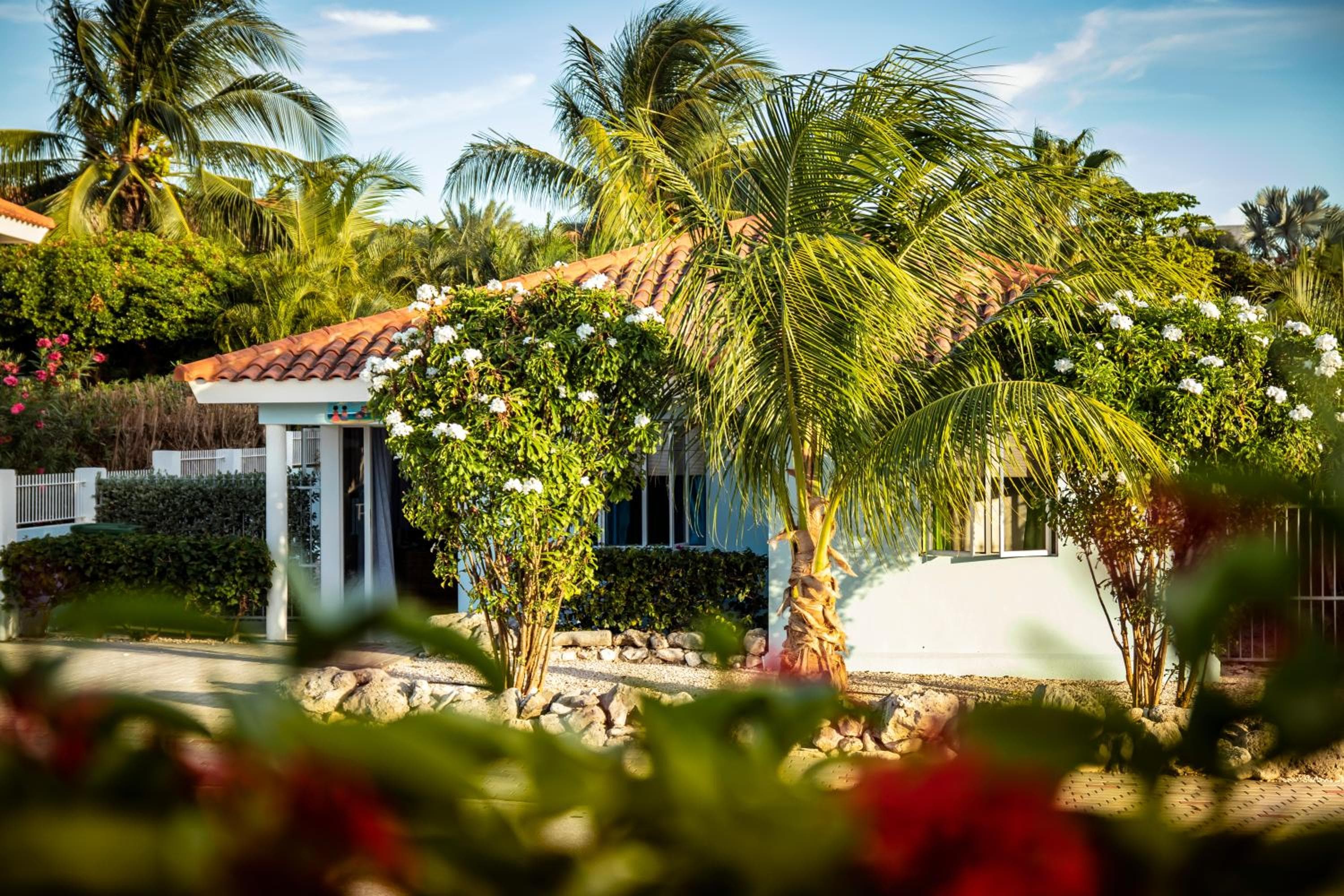 Villa Blue Curacao